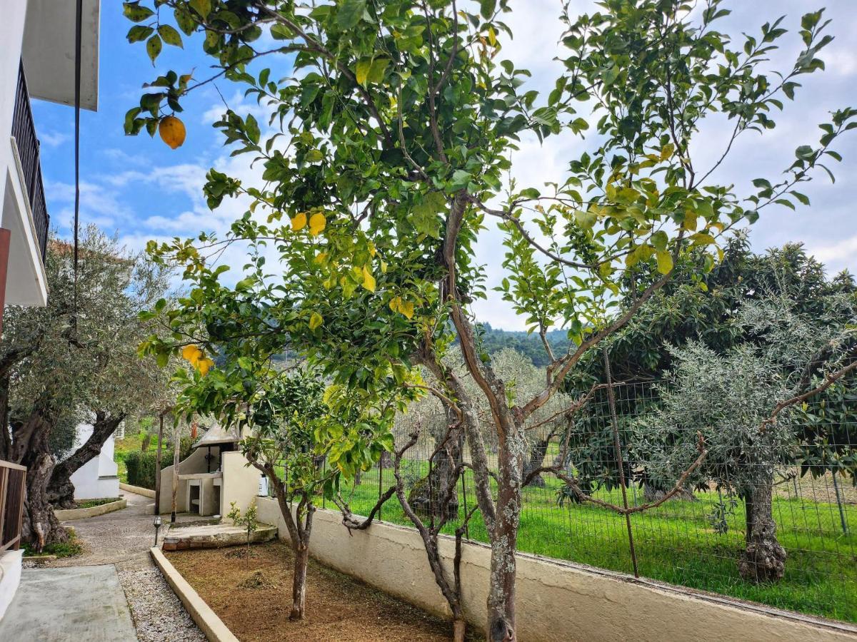 Skopelos Evergreen Apartments Стафилос Экстерьер фото