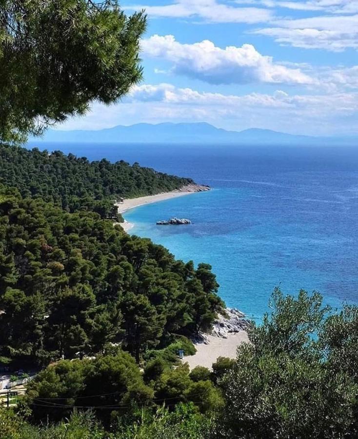 Skopelos Evergreen Apartments Стафилос Экстерьер фото
