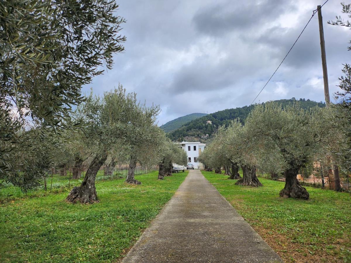 Skopelos Evergreen Apartments Стафилос Экстерьер фото